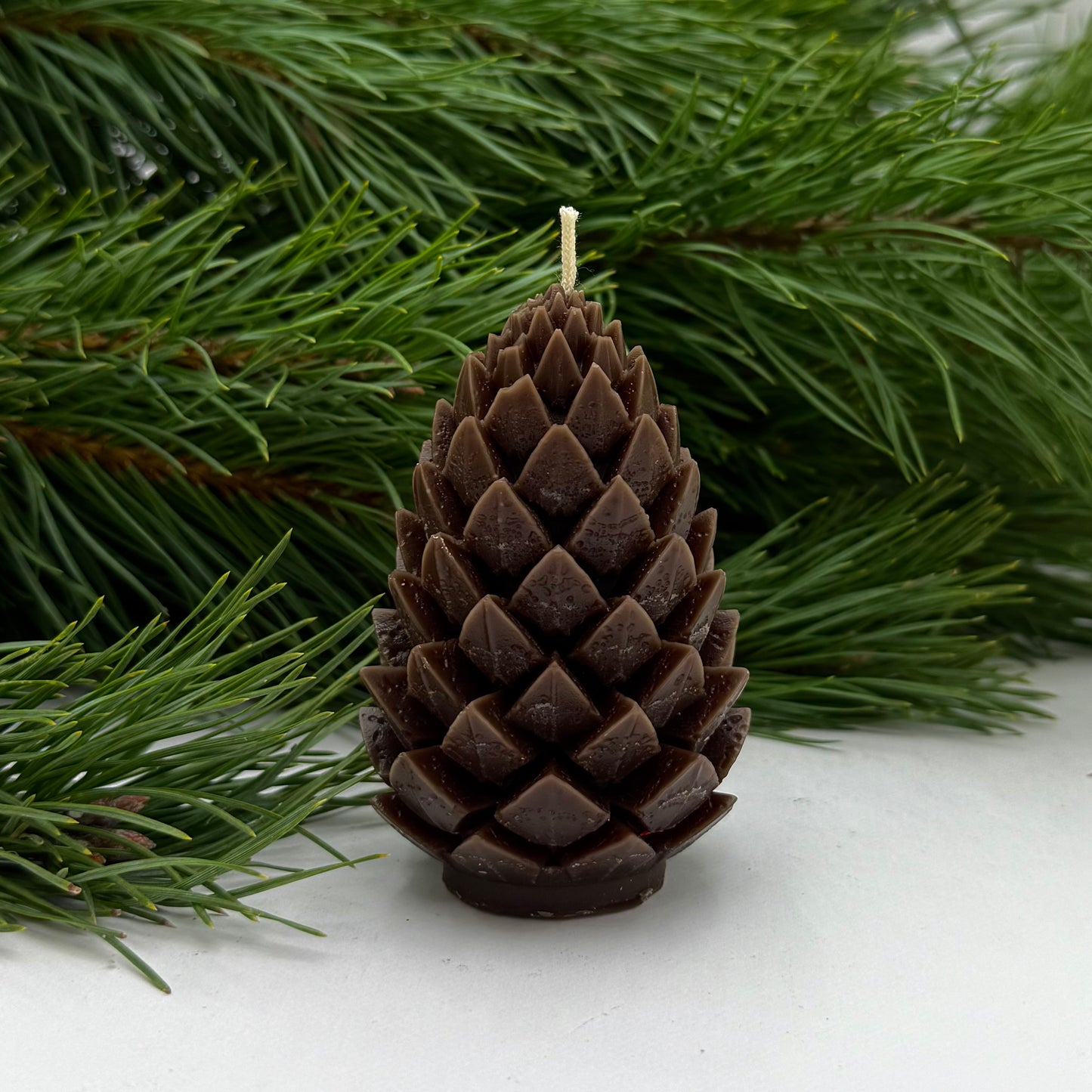 Svece “Egles čiekurs”